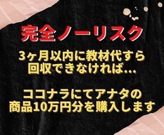 業界初！"独自手法"で自動収入を構築してもらいます 現在の収入にプラス50万円を毎月自動で稼いでいただきます。