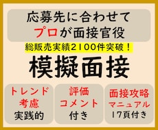 模擬面接　応募先に合わせた面接練習をプロが行います イメージ1