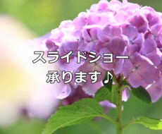 スライドショー作ります イメージ1