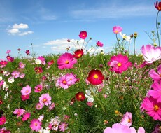 介護・福祉関係職員の方々の悩みを解決します イメージ1