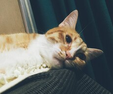 心のメッセージなんでも受け取ります イメージ1