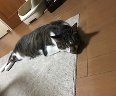 色の力で性格を変える！色を使った印象操作教えます イメージ1