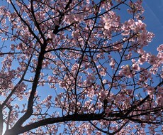 子育て人生恋愛どんな悩み愚痴も一緒に解決します イメージ1