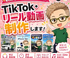 TikTok用9シーン動画を制作します イメージ1