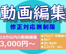 リーズナブルな価格での動画編集をご提供します 実績積み上げ優先！可能な限りご要望にお応えします。