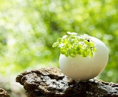 星とカードが示すあなたらしい生き方を鑑定いたします イメージ1