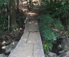 人間関係恋愛の悩み愚痴や色々な話を聞き相談のります 愚痴りたい恋愛の悩みを話したい事みんな私に話してください