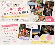 Vlogやリール動画を丁寧に編集します イメージ1