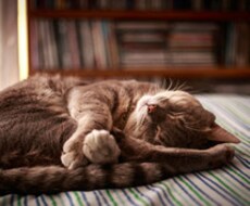 固定電話可●死を考えると眠れない…同じ経験あります 小さい頃から自分が死んで消えてしまうことが怖い、そんな方に