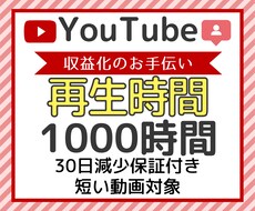 YouTube再生時間1000時間増やします 収益化可能！減少保証付き！オプションで4000時間まで増加！