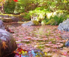1枚100円で写真をご提供致します SNS用や風景写真が欲しい方など。。