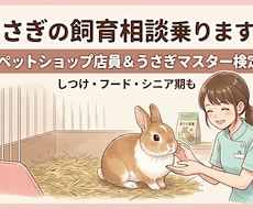 プロが実績作りのため、今だけ特別価格で対応します イメージ1