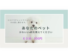 あなたのペットの自慢のお話し聴きます イメージ1
