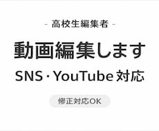 SNS用動画を見やすく編集します イメージ1
