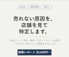 Amazon・楽天の店舗を診断し改善案を出します イメージ1