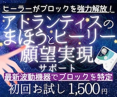 初回限定★ヒーリー分析調整＆ブロック解除します ドイツの最新波動機器×古代の叡智！願望実現への霧を晴らします