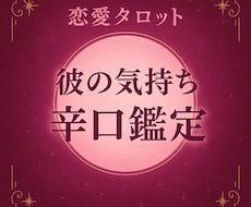 彼の気持ち、いい面も悪い面も全部そのまま伝えます イメージ1