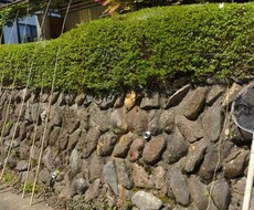普段の生活での悩み、愚痴なんでも聞きます イメージ1