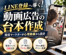 LINE登録へ繋げる動画広告の台本作成します イメージ1