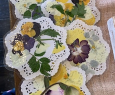 押し花しおり、コースターを作ります 季節の花をラミネートして作りました。