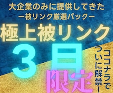 2026年3月限定で大企業と同じ被リンク貼ります なぜ成功している大企業と御社で結果に差が付くの？答えは○○！