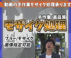 動画のモザイク承ります イメージ1