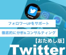ツイッターのフォロワーUPサポートします 徹底的に分析&コンサルティング！丁寧にノウハウを教えます！
