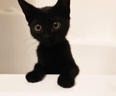 最速30分‼︎ワンコインでアドバイスをお届けします どう質問すればいいか分からない…そんなあなたにお届け