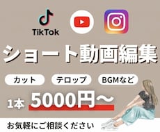 vlog、料理、旅行などのショート動画編集します イメージ1