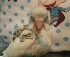 お話聞きます イメージ1