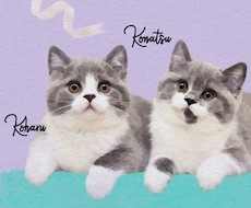 ペットをイラストに致します ペットの写真が水彩画風の似顔絵に♡