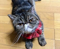 カウンセリング致します イメージ1