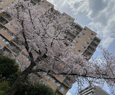 あなたのお話をじっくり聞きます イメージ1