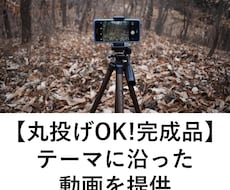 TikTok・YouTubeショート動画作ります 丸投げOKな完成品提供！そのままアップロード可能！