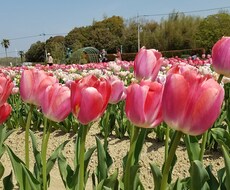 あなたのお悩みなんでも聞きます イメージ1