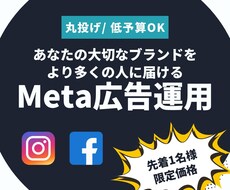 ビジネスを成長させるインスタ/FB広告運用をします イメージ1