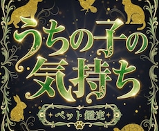 ペットの気持ちを霊視し全てお届けします イメージ1