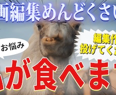 サブスク形式でカット・整音承ります イメージ1