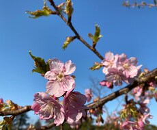 介護に関するお悩みをお受けします イメージ1