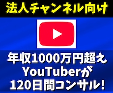 法人のYouTubeチャンネルをコンサルします YouTubeの再生数＆チャンネル登録者＆再生時間を増やす！