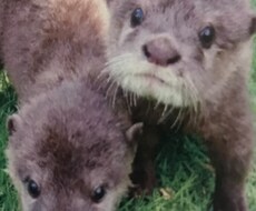 介護の事や認知症の事、悩まないで。待ってます イメージ1