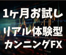 先出しカンニングFXを1ヶ月限定でお試しできます 1ヶ月のリアル体験型パスポートで、覚醒しませんか？