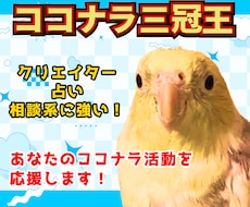 商売繁盛オカメインコがココナラ活動をサポートします 初心者〜中級者向けコンサル☆1週間でサクッと売り場改善！