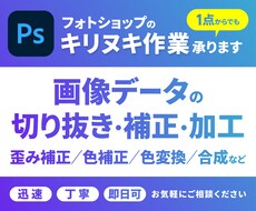 画像の切り抜き・補正・合成加工承ります イメージ1
