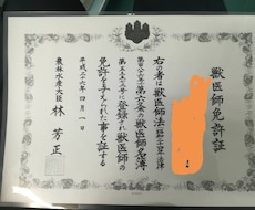 わんちゃん・ねこちゃんの病気の相談に乗ります イメージ1