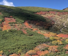 有資格ガイドがニセコの紅葉を登山ガイドします イメージ1