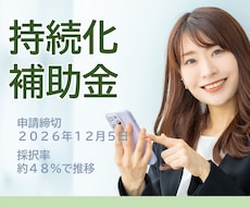 小規模事業者持続化補助金の計画書を作成・添削します 補助金サポート歴10年、毎回10～20社程度のお客様が採択