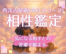 24時間以内☆占星術で好きな人との相性を鑑定します