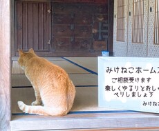 日々のお話何でも聞きます イメージ1