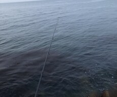 釣りの上達の仕方を教えます イメージ1